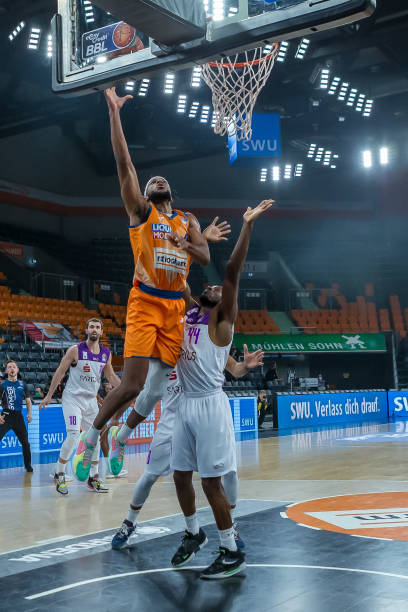 一只松鼠抢 一只松鼠抢