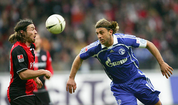 供了一个了 供了一个了